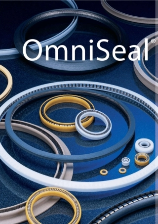 OmniSeal弹簧蓄能密封圈