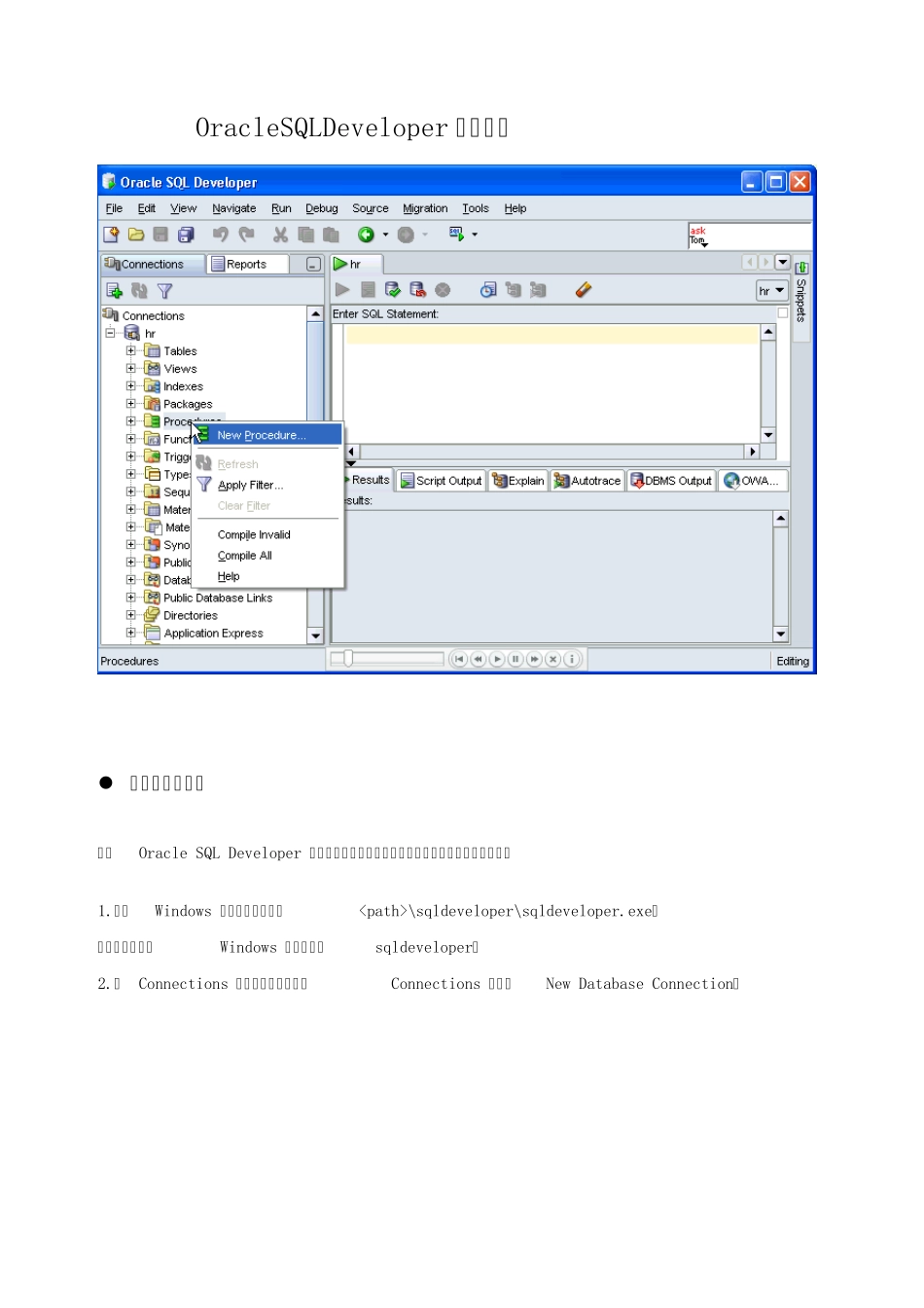 OracleSQLDeveloper最全使用教程_第1页