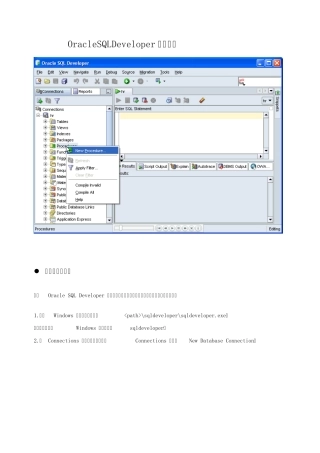 OracleSQLDeveloper最全使用教程