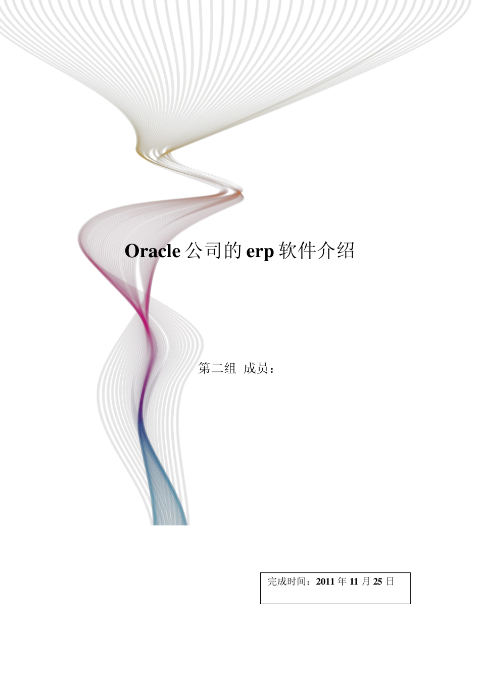 Oracle公司的erp软件介绍_第1页