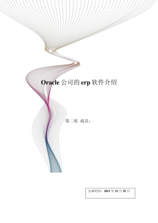 Oracle公司的erp软件介绍
