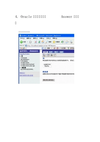 Oracle商务智能企业版(BIEE)快速入门手册下