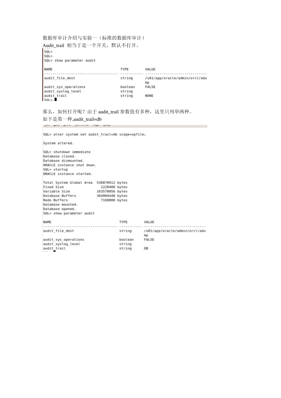 Oracle数据库审计_第3页