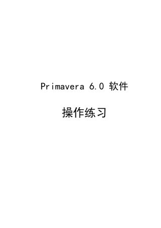 P6软件操作指导