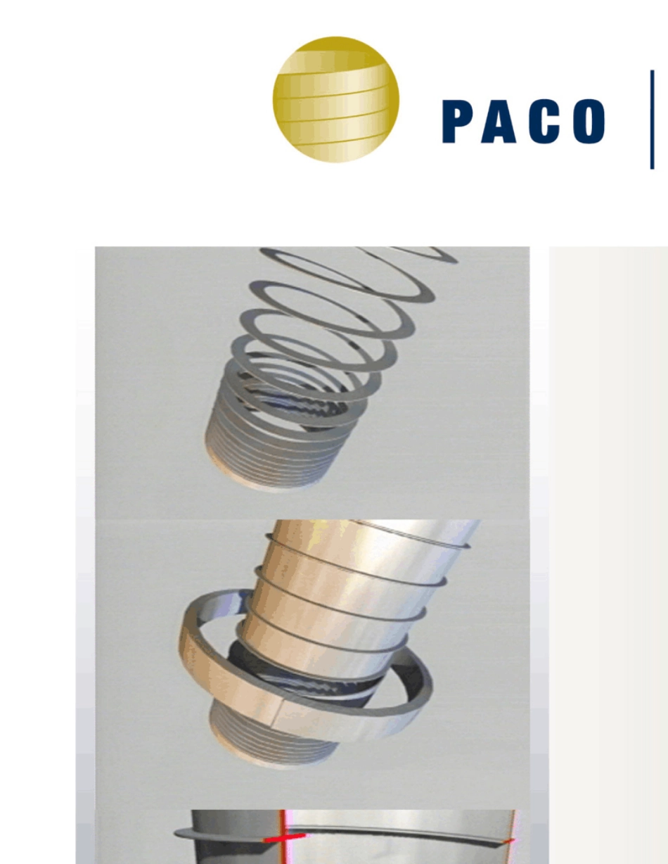 PACO大螺旋升降机中文样本_第1页