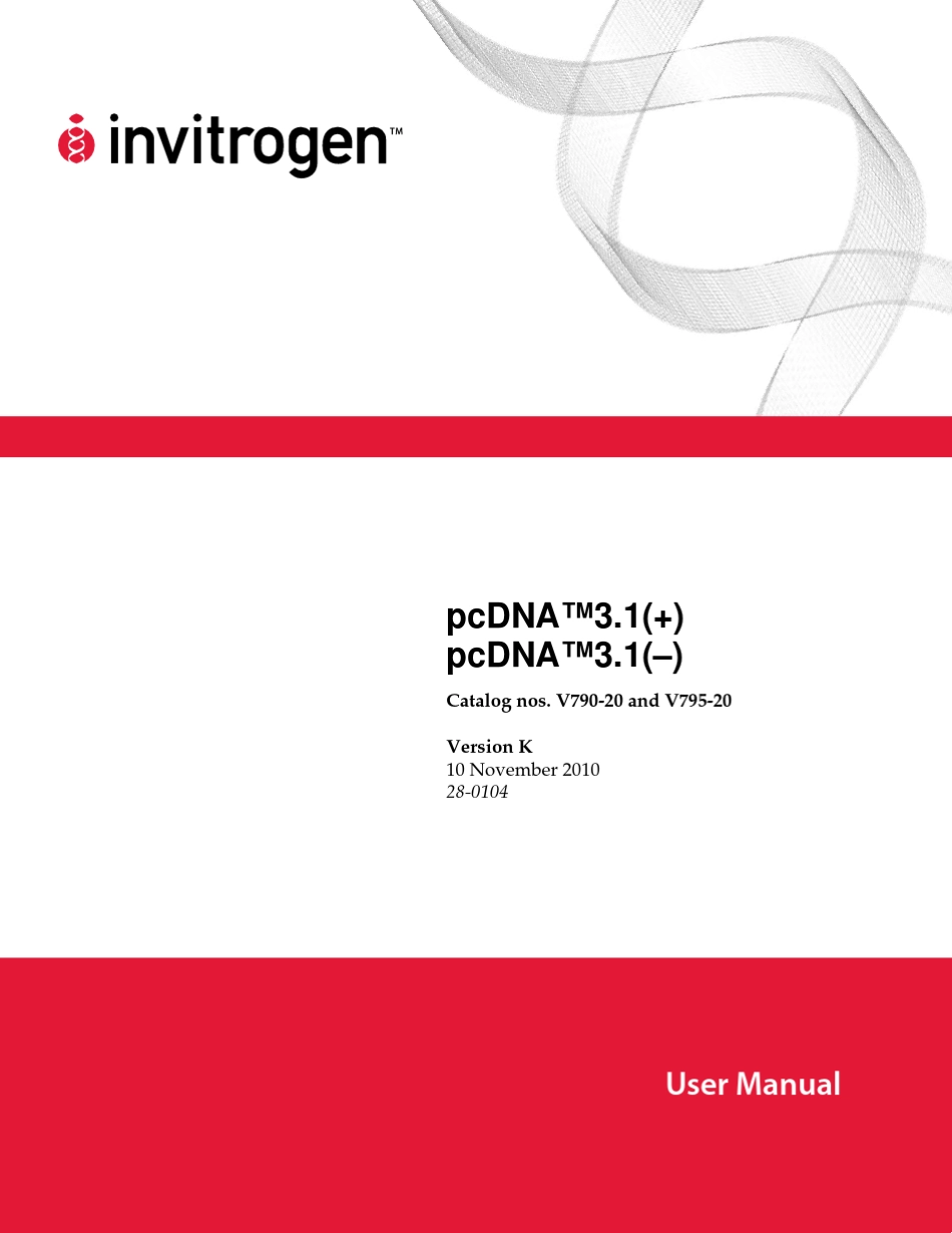 pcDNA3.1质粒图谱_第1页