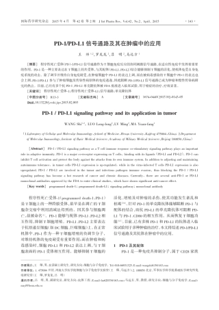 PD1PDL1信号通路及其在肿瘤中的应用