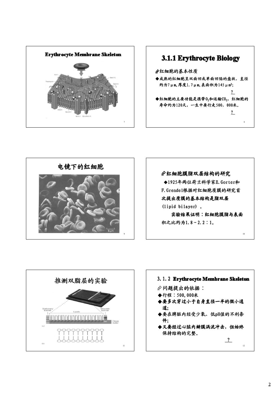 中山大学细胞生物学课件(王金发)第3章(PPTminimizer)_第2页