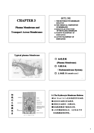 中山大学细胞生物学课件(王金发)第3章(PPTminimizer)