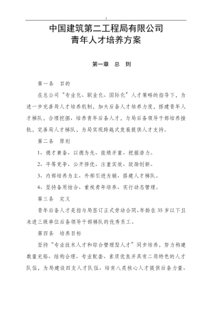 中建二局青年人才培养方案计划