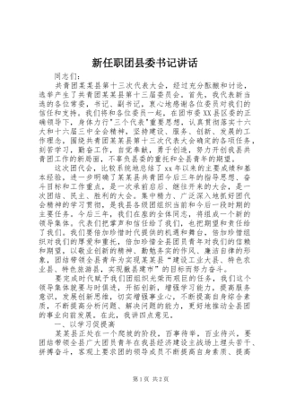 新任职团县委书记讲话
