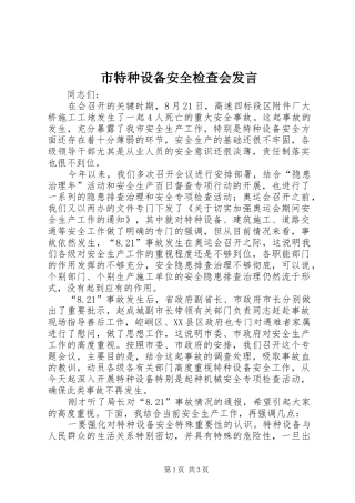 市特种设备安全检查会发言