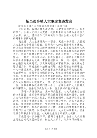 新当选乡镇人大主席表态发言