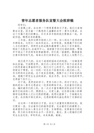 青年志愿者服务队宣誓大会致辞稿