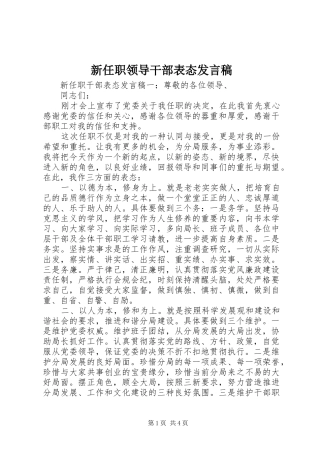 新任职领导干部表态发言稿
