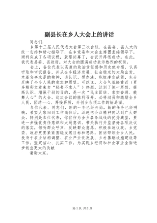副县长在乡人大会上的讲话
