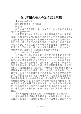在共青团代表大会发言范文五篇