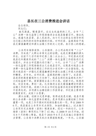 县长在三公消费推进会讲话