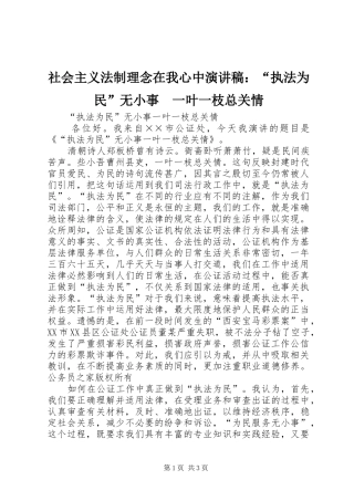 社会主义法制理念在我心中演讲稿：“执法为民”无小事　一叶一枝总关情