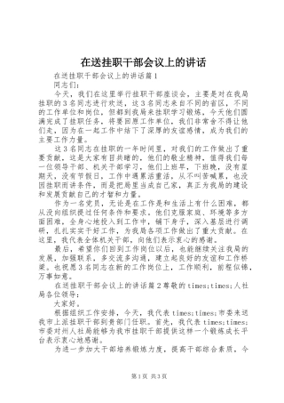 在送挂职干部会议上的讲话