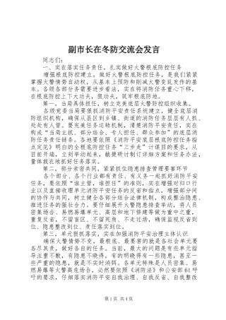 副市长在冬防交流会发言