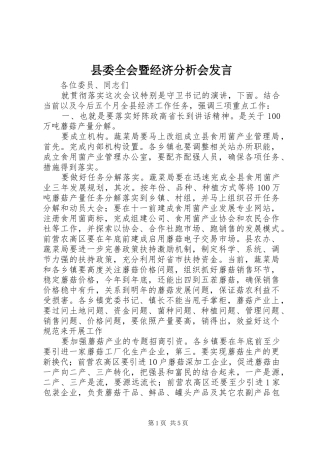 县委全会暨经济分析会发言
