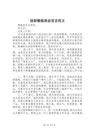 挂职锻炼表态发言范文