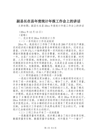 副县长在县年度统计年报工作会上的讲话