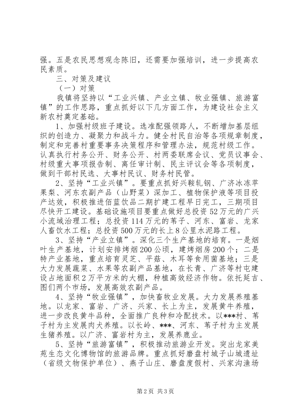 新农村座谈会上的发言材料_第2页