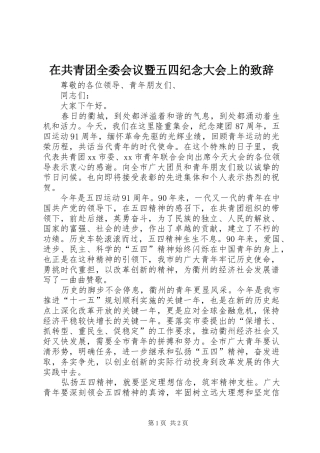 在共青团全委会议暨五四纪念大会上的致辞