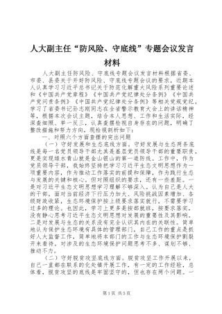 人大副主任“防风险、守底线”专题会议发言材料