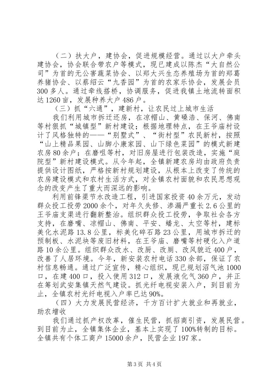 依托城市谋发展打造特色奔小康(镇长的讲话材_第3页