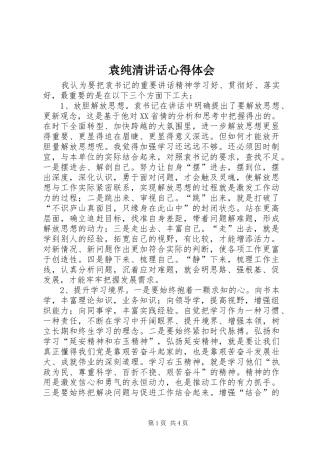 袁纯清讲话心得体会