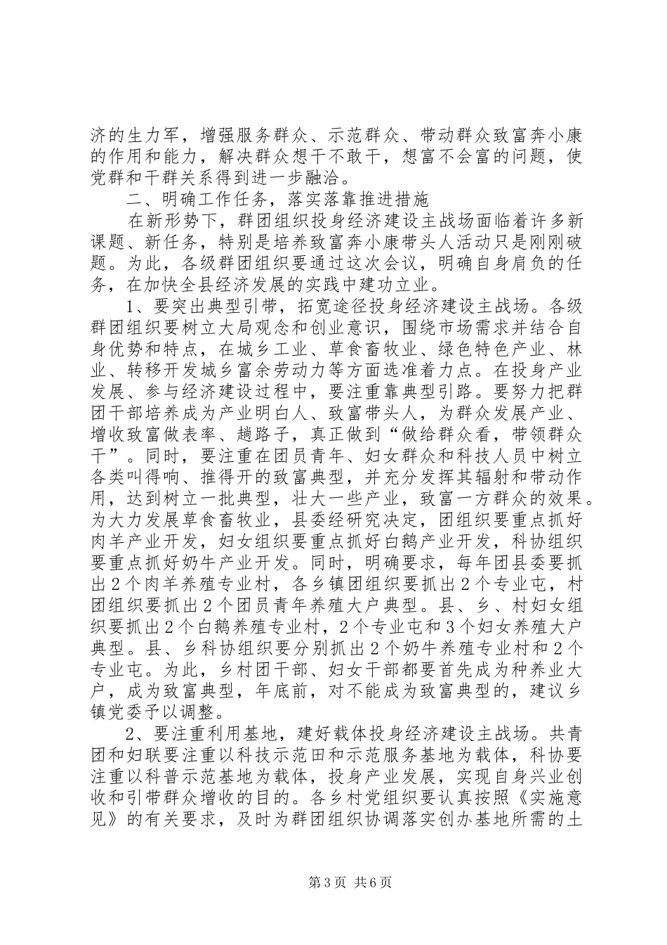 在全县群团干部致富奔小康带头人经验交流会上的讲话(1)_第3页