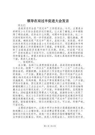 领导在双过半促进大会发言