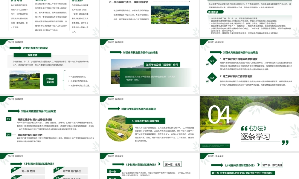 乡村振兴责任制实施办法