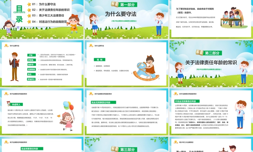 青少年法律意识法制教育主题