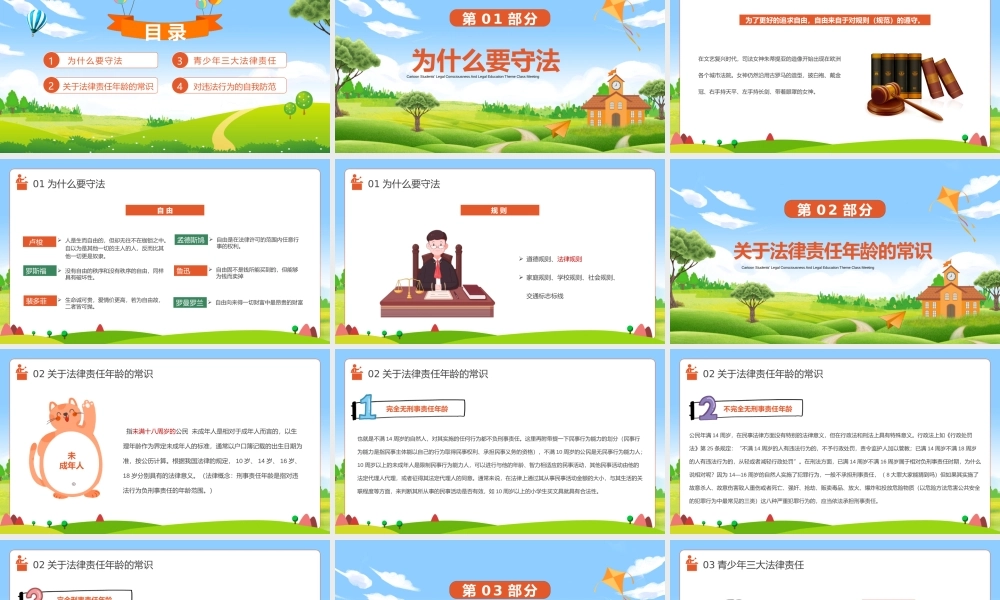 青少年法律意识法制教育主题班会