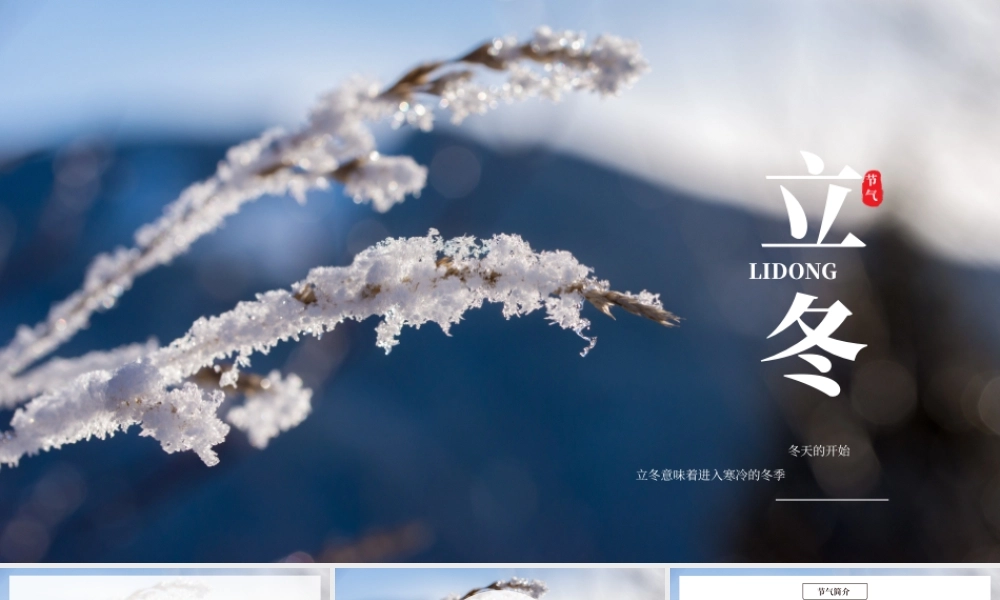 冬至二十四节气模板立冬