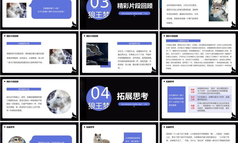 X狼王梦读书交流会课件
