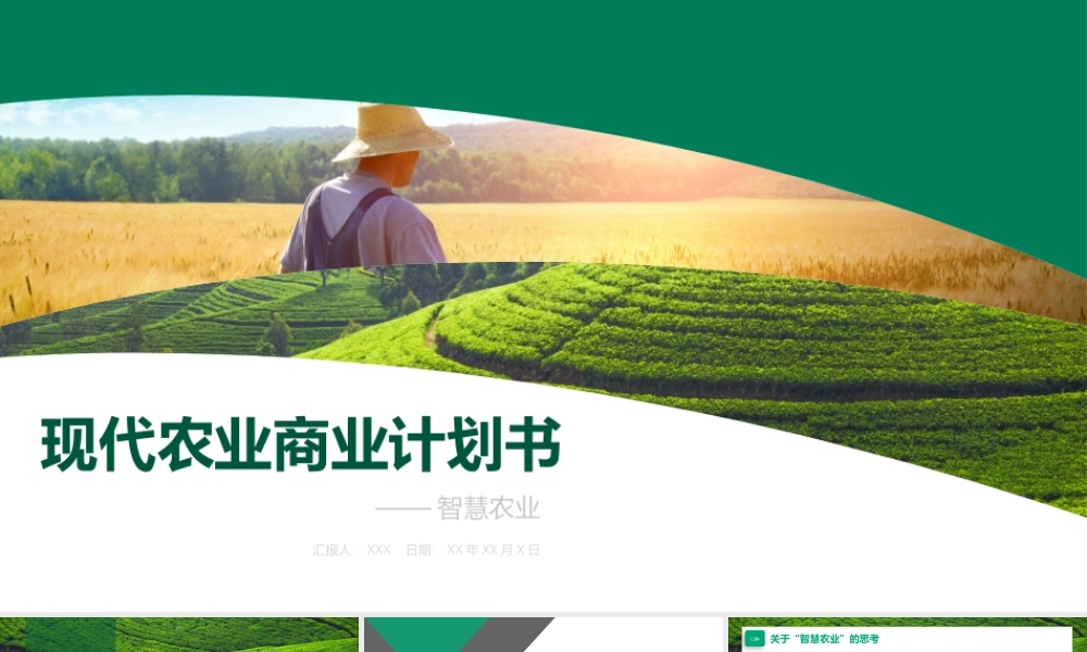 现代农业商业计划书