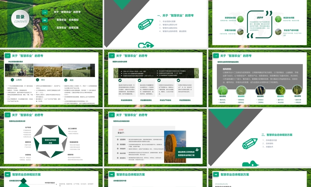 现代农业商业计划书