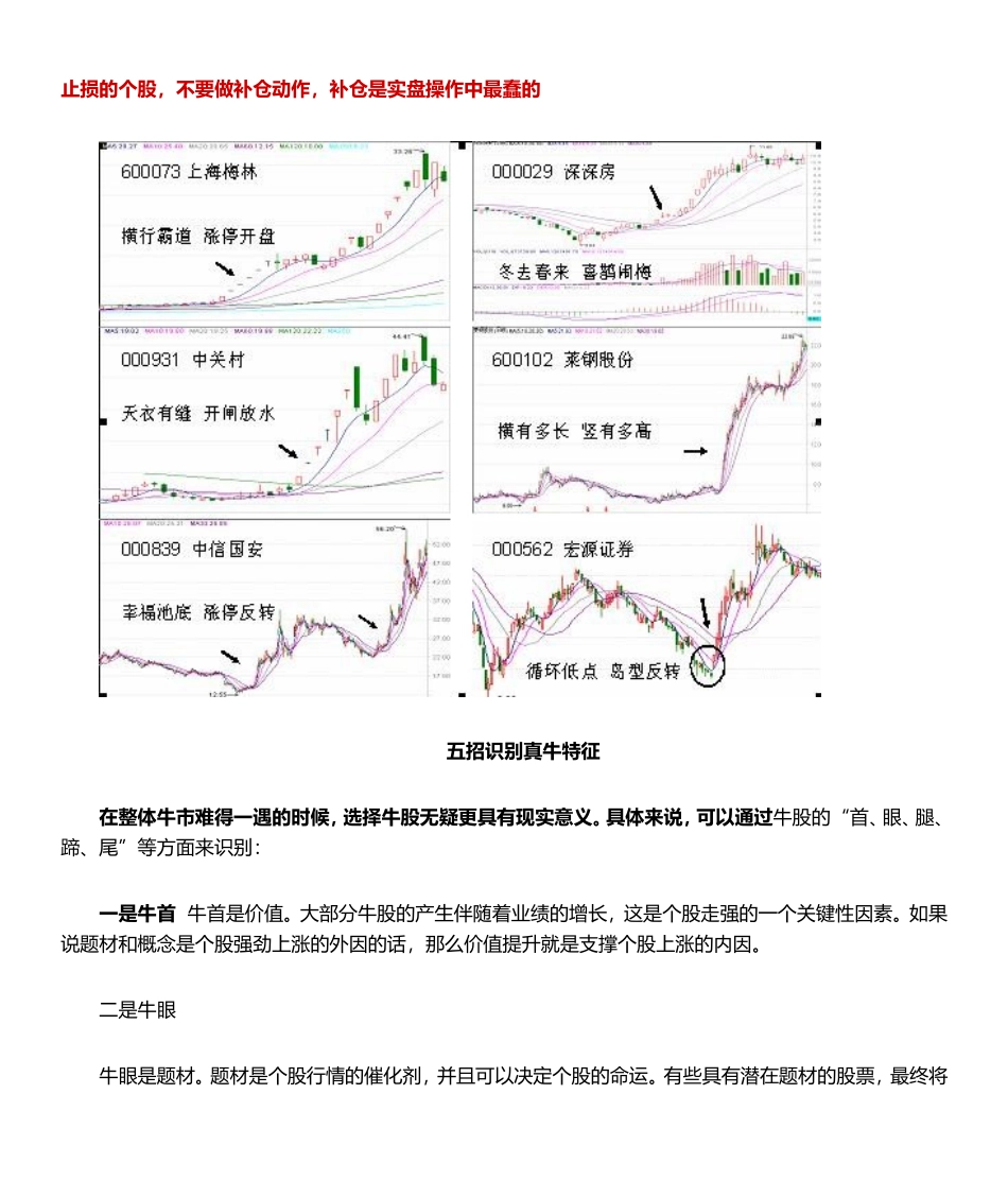 龙头战法十年精髓_第3页