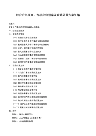 综合应急预案、专项应急预案及现场处置方案汇编128页