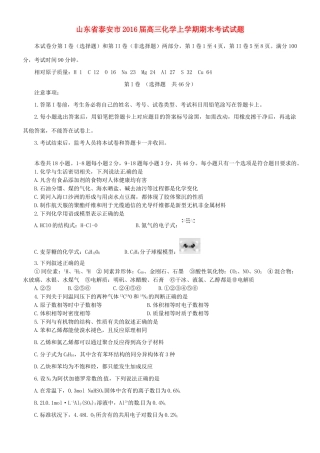 山东省泰安市高三化学上学期期末考试试题-人教版高三全册化学试题