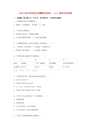四川省攀枝花市高一化学上学期期末试卷（含解析）-人教版高一全册化学试题