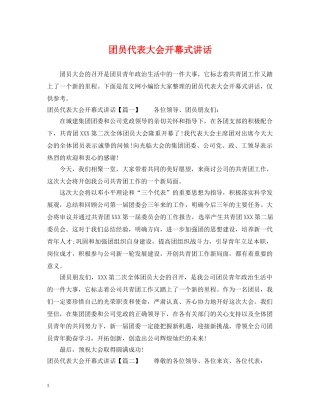 团员代表大会开幕式讲话 