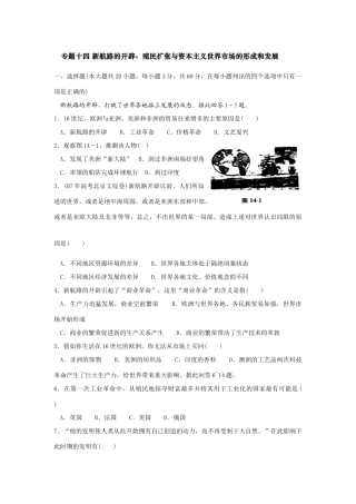 专题十四 新航路的开辟、殖民扩张与资本主义世界市场的形成和发展