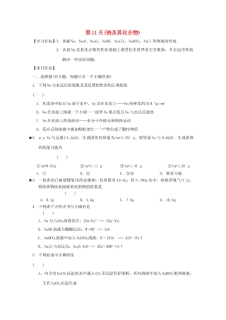 高一化学寒假作业 第11天（钠及其化合物）-人教版高一全册化学试题