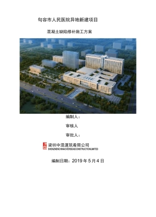 (中海)混凝土缺陷修补施工方案